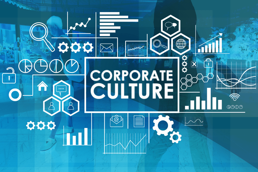 cultura organizacional